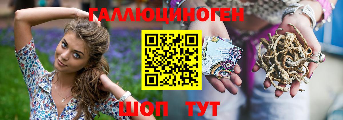 Псилоцибиновые грибы GOLDEN TEACHER Холмск